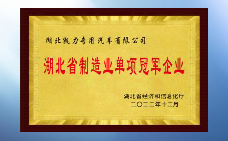 Awarded The Title Of Hubei Province Manufacturing Industry Single Champion Enterprise (Product)