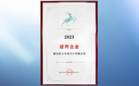 Won The Certification Of Gazelle Enterprise In Suizhou High Tech Zone